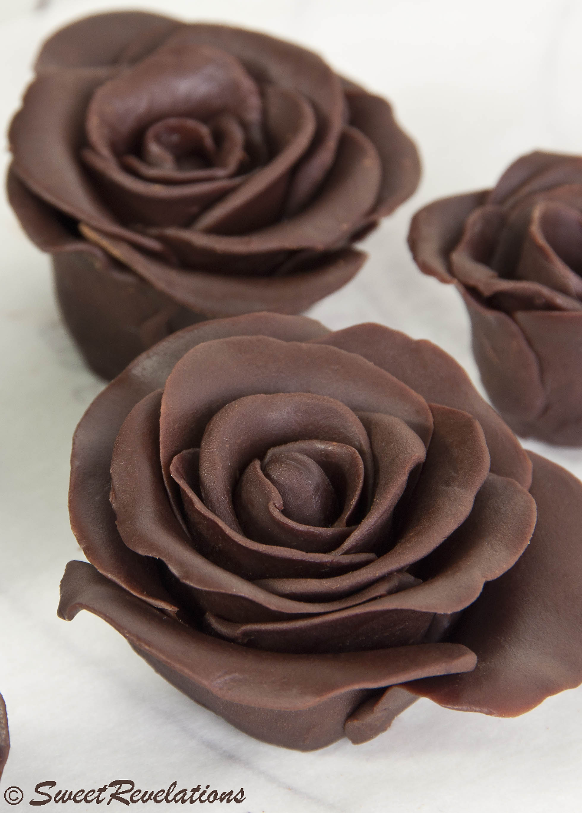 chocolate roses